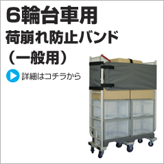 6�֑�ԗp, ��ʗp