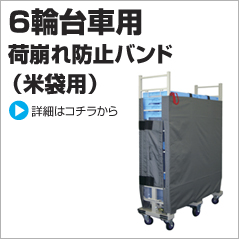 6�֑�ԗp, �đܗp